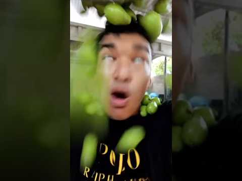 This is the original phonk song of Mangos 🥭. Credits to:​⁠​⁠@alfredolarin #phonk #trollface 💀☠️
