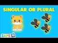 Irregular and Regular Plural Forms