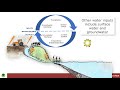 Water Cycle and Wetlands Concepts