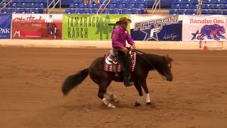 Bob's Custom Saddles — Reining