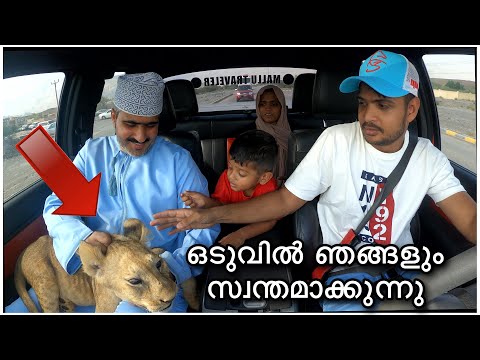 ഞങ്ങൾ സിംഹക്കുട്ടിയെ വാങ്ങി | Lion Cub In Oman