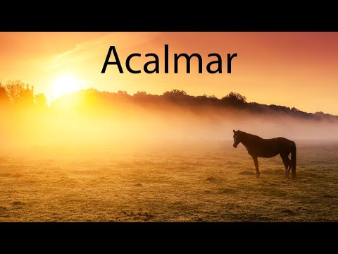 Tranquilizar a Mente: Música Relaxante com Inspiração Folk Celta