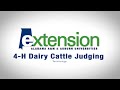 PDCA Score Card for Dairy Cattle