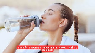¿Estás tomando suficiente agua? Así lo sabrás