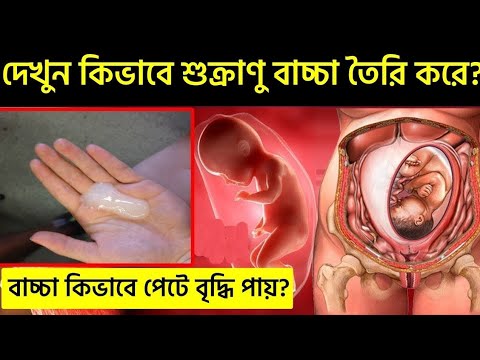 দেখুন পেটে বাচ্চা কিভাবে তৈরি হয় ? How baby born ?