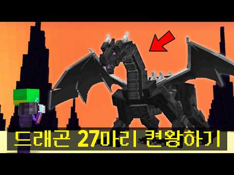 [생일기념] 나이 먹은 만큼 엔더드래곤 27마리 켠왕하기