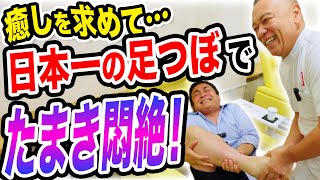 日本一の足ツボで玉木雄一郎が絶叫！癒しどころかもはや修行！施術後の玉木に異変が！？