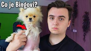 Co se Stalo Bingovi...?