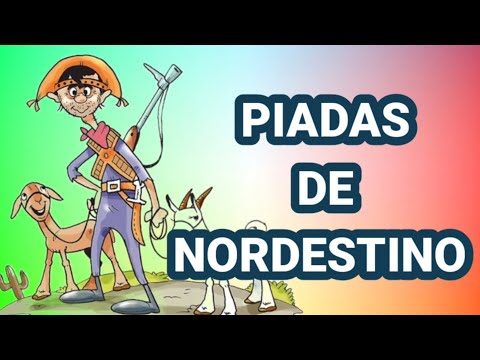 piadas de Nordestino @canaldepiadas