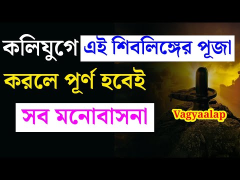 কলিযুগে এই শিবলিঙ্গের পূজা করলে পূর্ণ হবেই সব মনোবাসনা |worship this shiblinga for luck .#vagyaalap