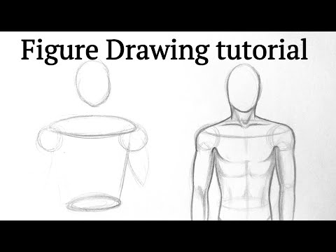 How to draw human figure drawing Male Torso easy for...