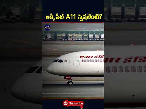 లక్కీ సీట్ A11 స్పెషలేంటి? ✈️💺🧳| Wise Monkeys Media | #airindia #airforce #india #ahmadhabad