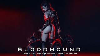 BLOODHOUND – Hunt Or Be Hunted | Dark Techno / Acid Techno / Industrial Bass / Dark Club Mix