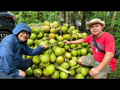 Buko na Nabibili sa Supermarket na Super Mahal! Dito pala yan Nanggagaling