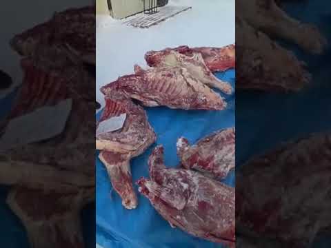 Рынки в Якутске. Россия. Открытые рынки в -42.  Markets in Yakutsk.  Russia.  Open markets at -42.