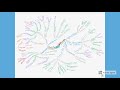 Chronic Diseases and Economic Indicators