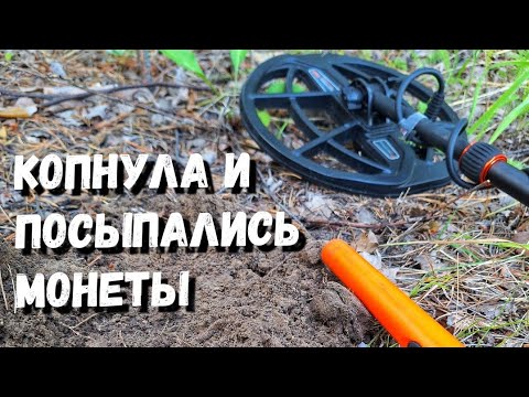 КОПНУЛА ЗЕМЛЮ И ПОСЫПАЛИСЬ МОНЕТЫ. НАШЛА ЗАКЛАДНУЮ