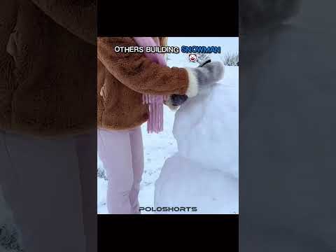 The Last Snowman ☠️