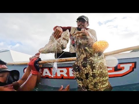 grabing SPOT nato puro malalaking BROWN GROUPER nahuli Namin