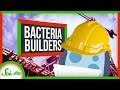 Self-Healing Concrete and Bacteria