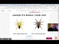 Exploring Spider Traits and Features