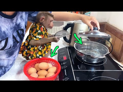 Sweet Judee Helps Mom BoiIing Eggs For Dinner