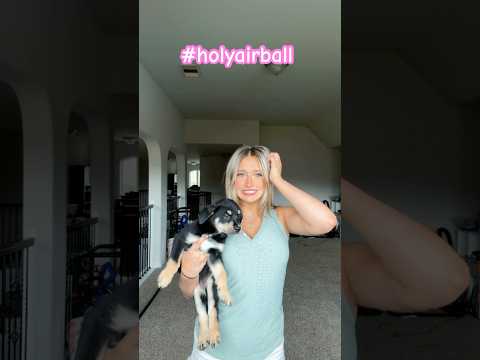 How many pets do you have?! #music #dance #shortsfeed #funny #trending #pets #dogs #cats #fyp #short
