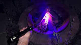Can The Worlds Most Powerful Handheld Laser Start A Campfire?
