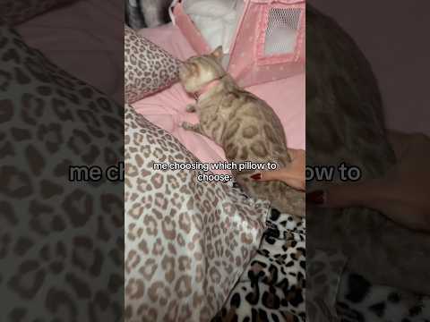 TikT0k: mirajanethebengal โค๏ธ #relatable #foryou #trending #tiktok #viral #shortsfeed #famous