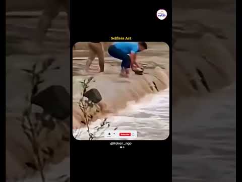 Cow falls into river 🌊🐄 | Brave People Save Her Life 🙏 | Heart Touching Rescue #shorts #cowrescue