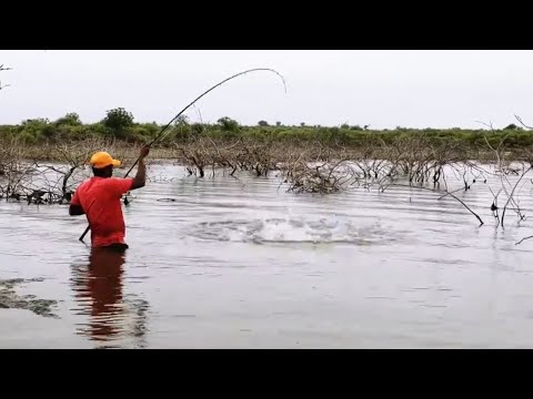 HOW TO ROHU FLOAT 🎣 FISHING TECHNIQUES IN KRISHNA RIVER FISH HUNTING