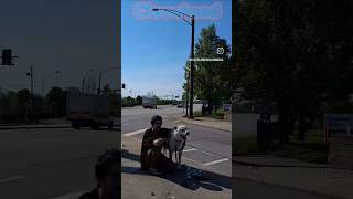 Homeless Person & Dog at Target Entrance On West 117th Street Cleveland Ohio #homeless #dog #pets