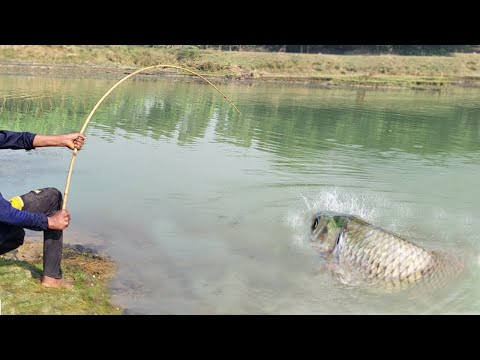 Amazing Big Fish Hook Fishing in River