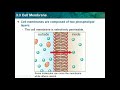 Cell Membrane Structure and Function