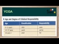 Youth Criminal Justice System Overview