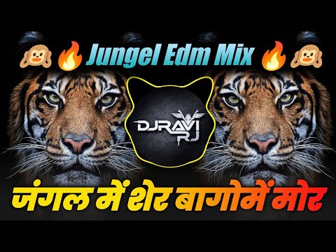Jungel Mein Sher Bago Mai Mor | Jungel Edm Mix | Jungle Mein Sher Bago Mai Mor Dj Song | Dj Ravi Rj