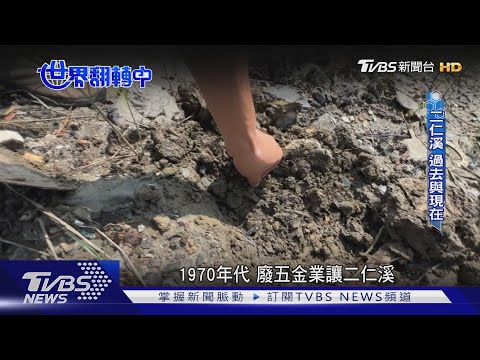 銅殘留超標40倍!  魚吃下肚恐引發急性腎衰竭