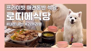 [강아지VLOG] 애견동반 식당 '로띠에' 리뷰 & 인천 수봉공원 밤산책★