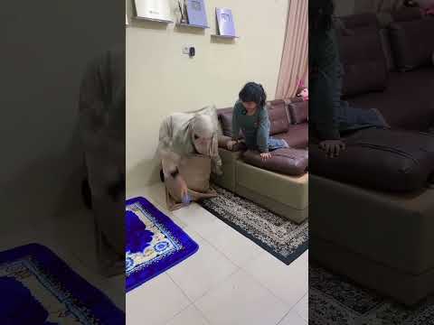 Gara gara hp ga mau solat #drama #youtubeshorts #viral