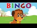 Understanding the Song Bingo