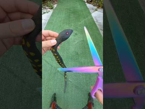 Um Desafio de Resistência! O Brinquedo de Cobra Contra a Água 🐍💧 #shorts