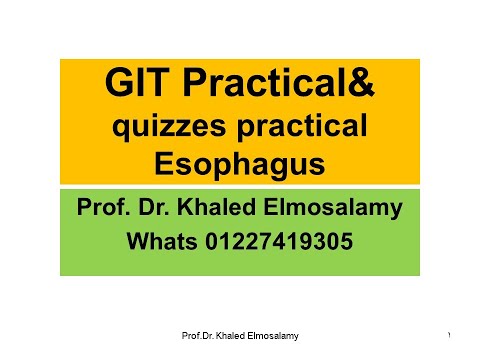 GITT esophagus histology=practical