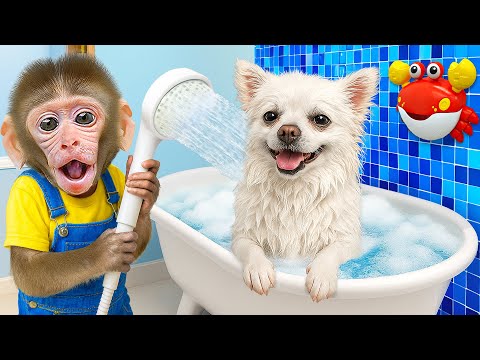 KIKI Monkey FILLED house with COLORFUL POPCORN and Bathing in Bathtub with Puppy | KUDO ANIMAL KIKI