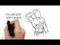 Exploring Types of Muscle Contractions