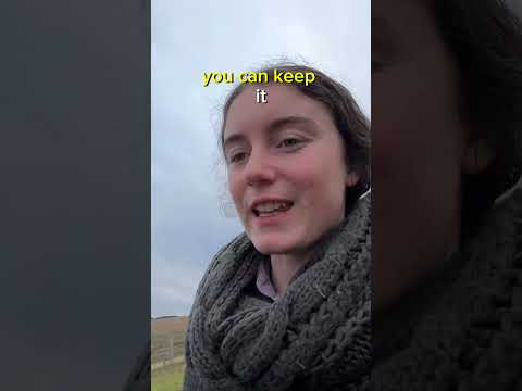 Hard to believe but I'm NOT an Idiot!  #farmvlog #farming #sheepfarm