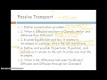 Cell Structure and Function Concepts