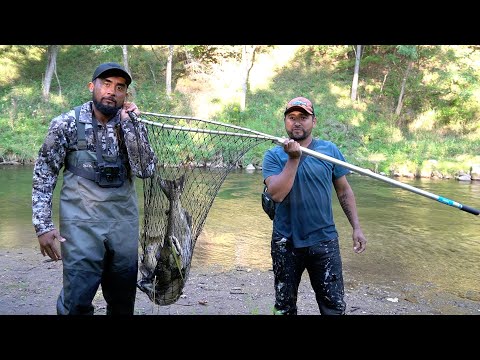 Pescando Monstruos De Río En Un Paraíso