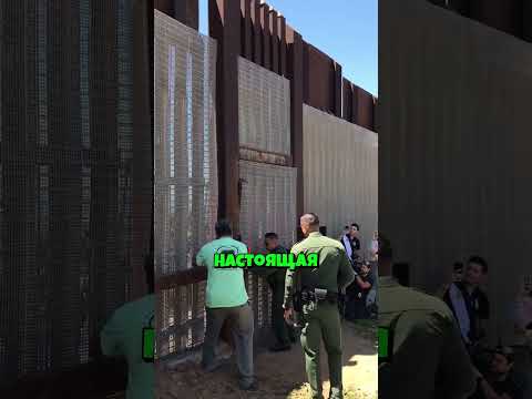 Ограда Балларда 🧱🌵
