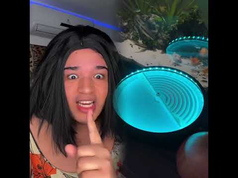 QUANDO O IRMÃO SE DAR BEM II #shorts #shortsviral