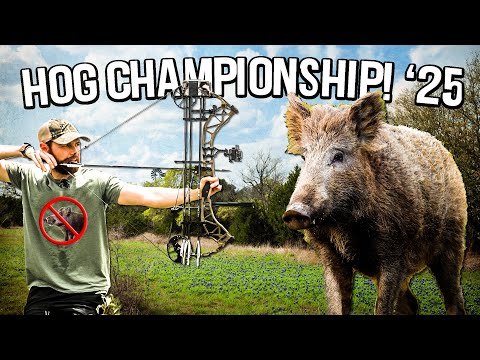 2025 Hog Hunting Championship w/Ranch Fairy! (Round 1)